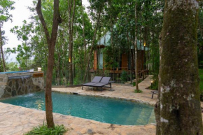The Grand Forest Jarabacoa